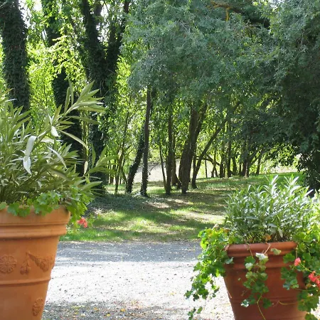 Apartamento La Casa Del Camino Montescudaio